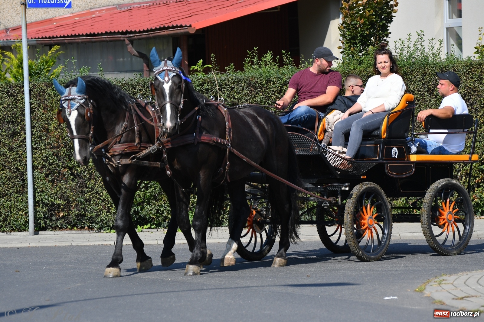 Zdjęcie w galerii na portalu naszraciborz.pl: Raciborski Hubertus 2021. Parada przez Ostróg i dwie gonitwy za lisem [FOTO i WIDEO] wiadomości z regionu