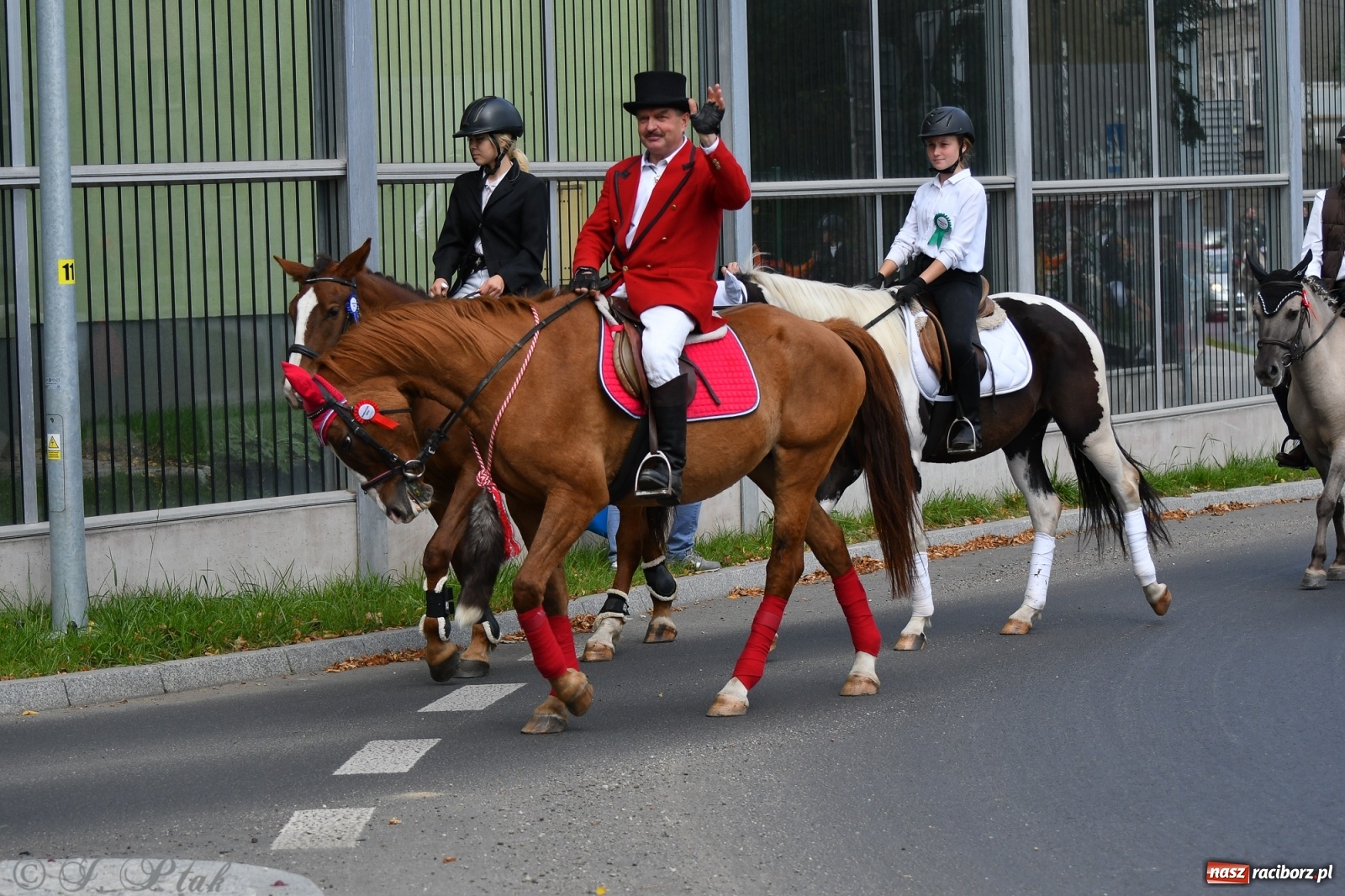 Zdjęcie w galerii na portalu naszraciborz.pl: Raciborski Hubertus 2021. Parada przez Ostróg i dwie gonitwy za lisem [FOTO i WIDEO] wiadomości z regionu