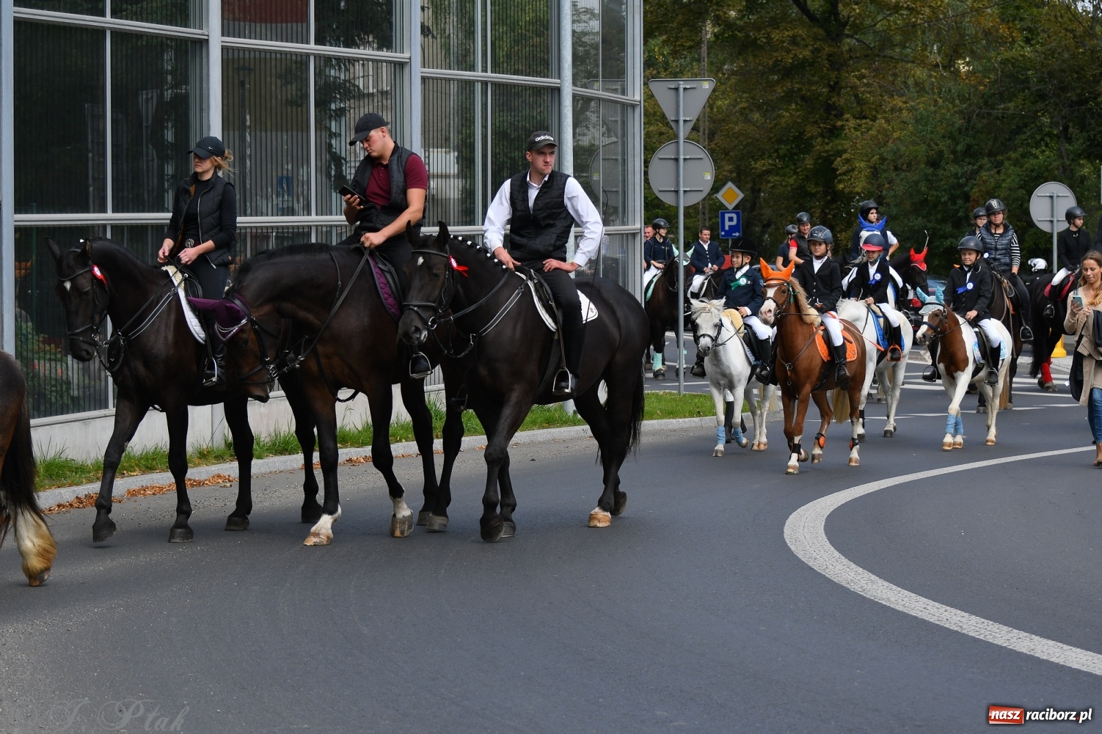 Zdjęcie w galerii na portalu naszraciborz.pl: Raciborski Hubertus 2021. Parada przez Ostróg i dwie gonitwy za lisem [FOTO i WIDEO] wiadomości z regionu