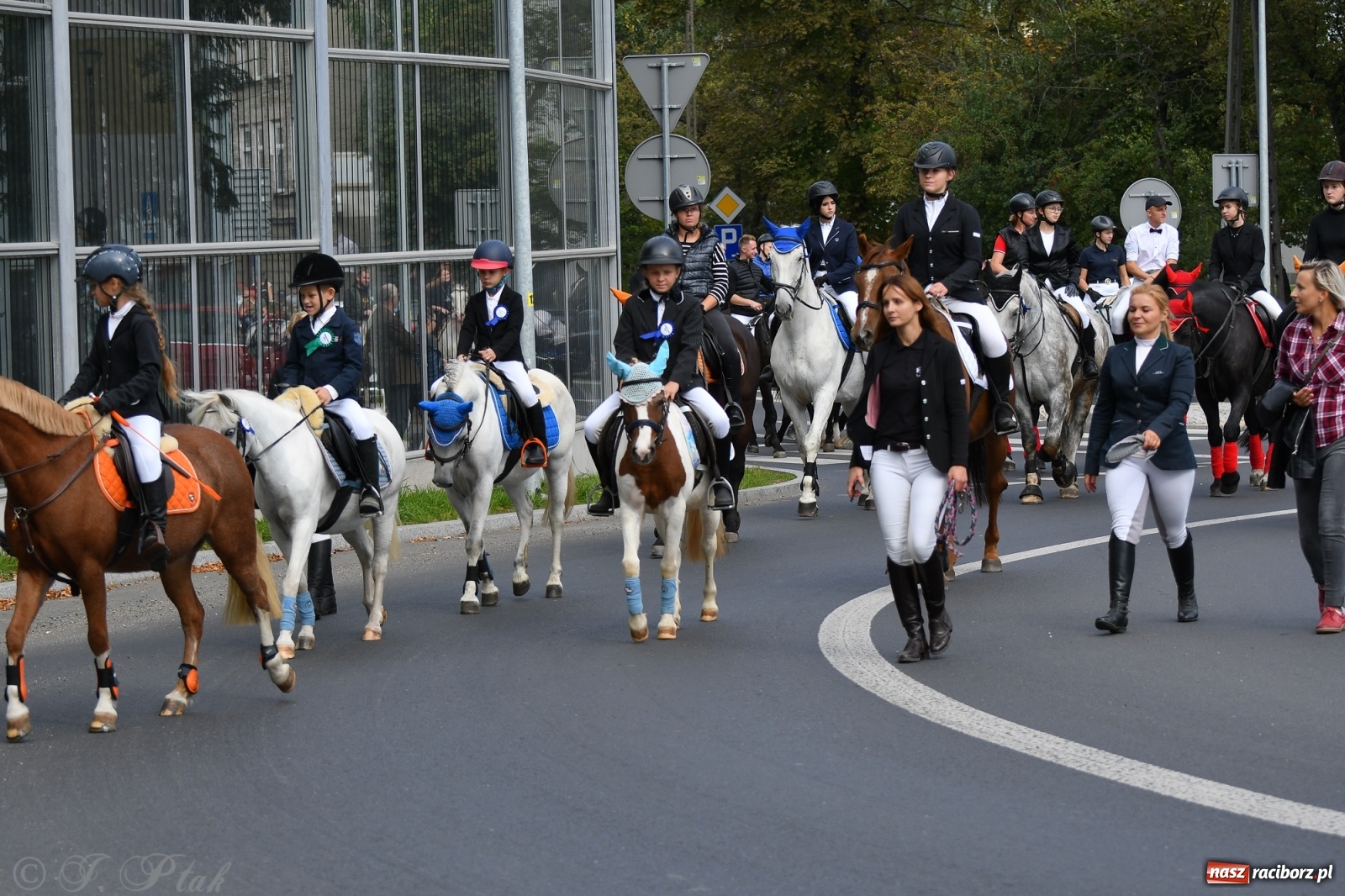 Zdjęcie w galerii na portalu naszraciborz.pl: Raciborski Hubertus 2021. Parada przez Ostróg i dwie gonitwy za lisem [FOTO i WIDEO] wiadomości z regionu