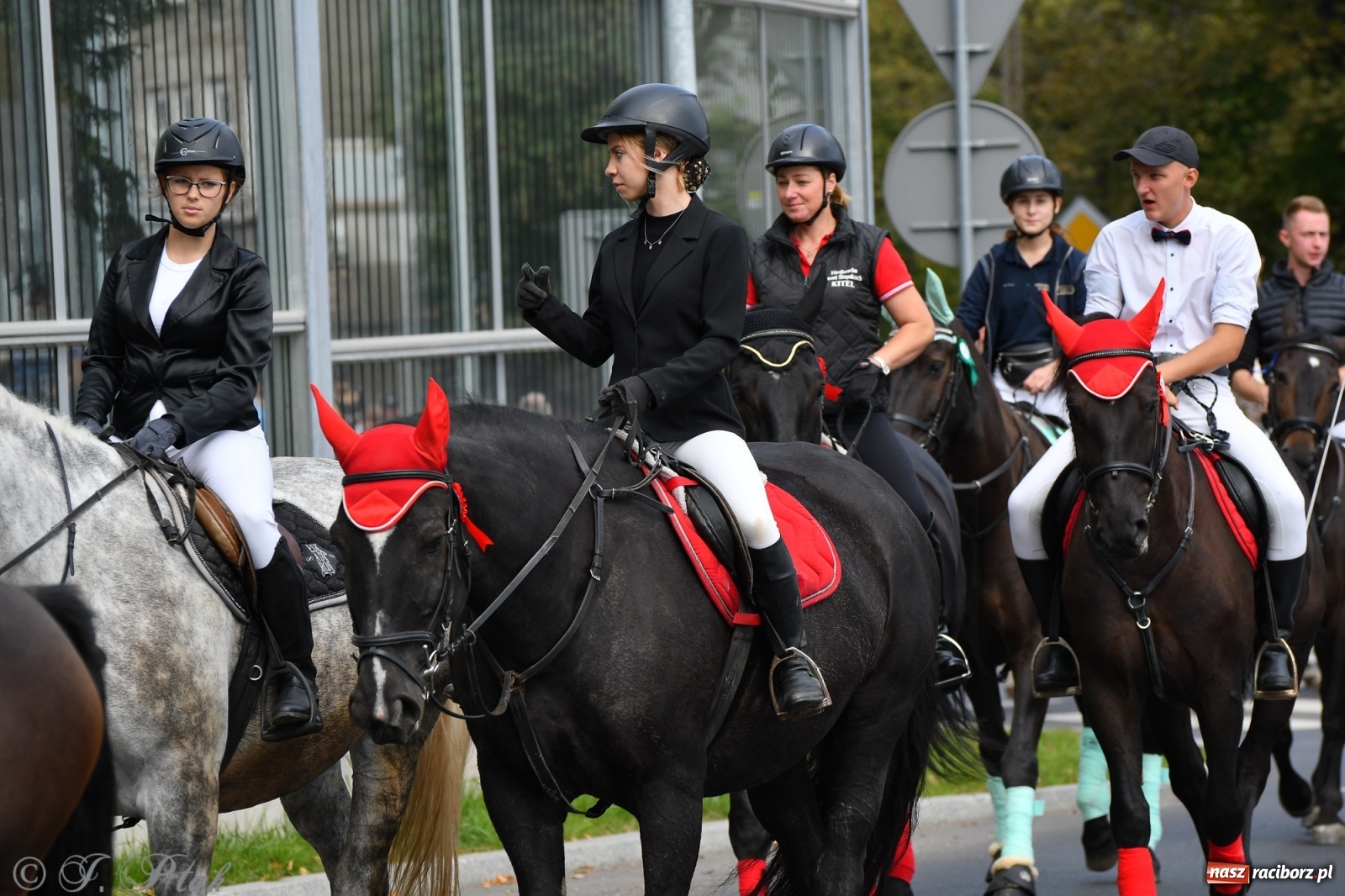 Zdjęcie w galerii na portalu naszraciborz.pl: Raciborski Hubertus 2021. Parada przez Ostróg i dwie gonitwy za lisem [FOTO i WIDEO] wiadomości z regionu