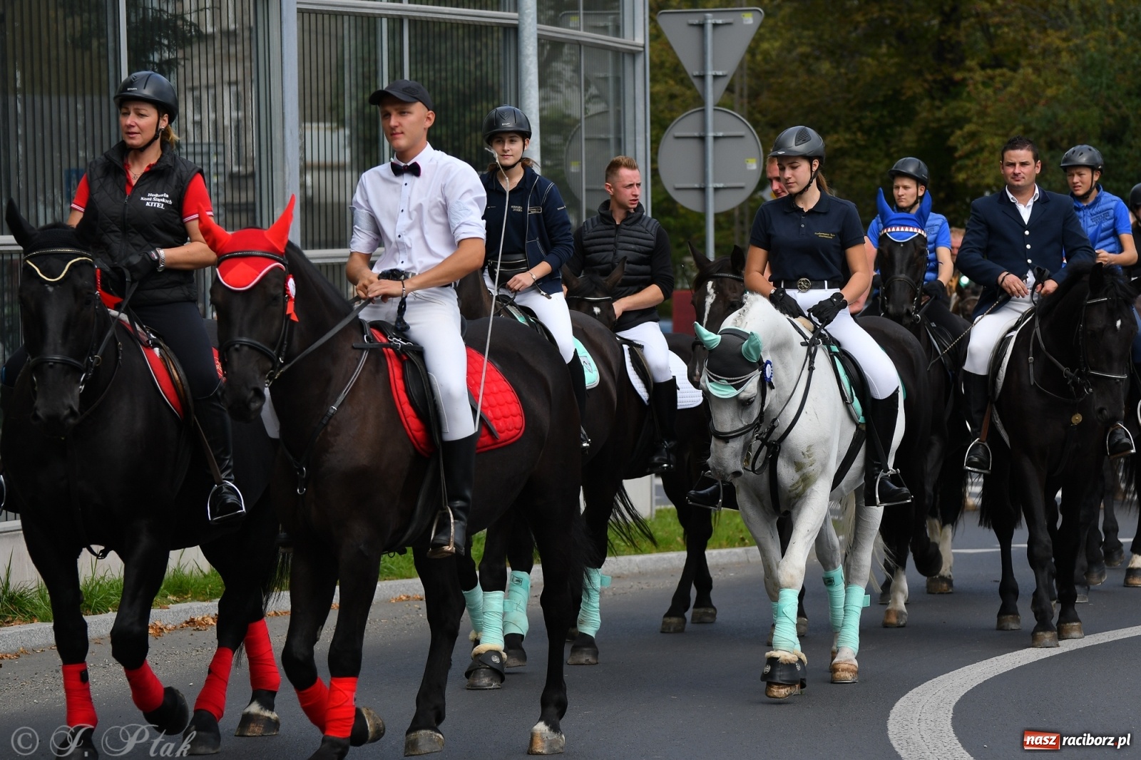 Zdjęcie w galerii na portalu naszraciborz.pl: Raciborski Hubertus 2021. Parada przez Ostróg i dwie gonitwy za lisem [FOTO i WIDEO] wiadomości z regionu