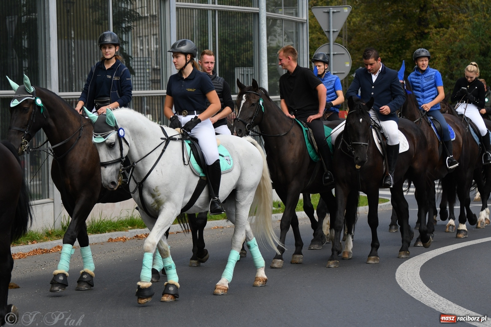 Zdjęcie w galerii na portalu naszraciborz.pl: Raciborski Hubertus 2021. Parada przez Ostróg i dwie gonitwy za lisem [FOTO i WIDEO] wiadomości z regionu