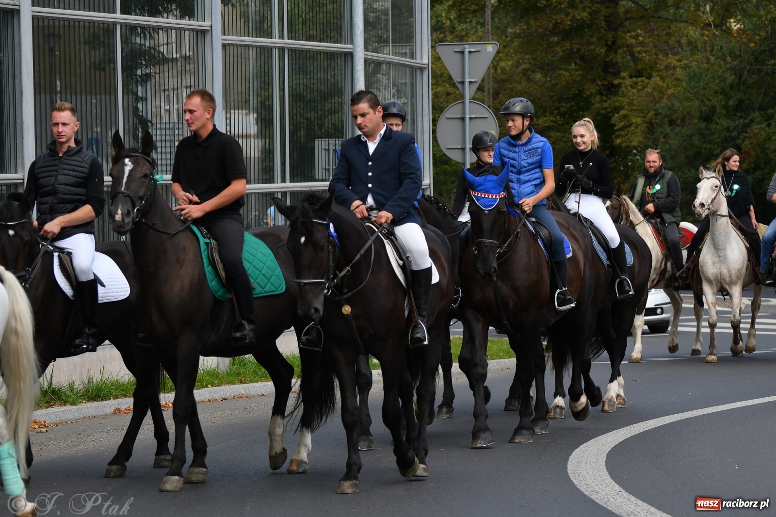 Zdjęcie w galerii na portalu naszraciborz.pl: Raciborski Hubertus 2021. Parada przez Ostróg i dwie gonitwy za lisem [FOTO i WIDEO] wiadomości z regionu