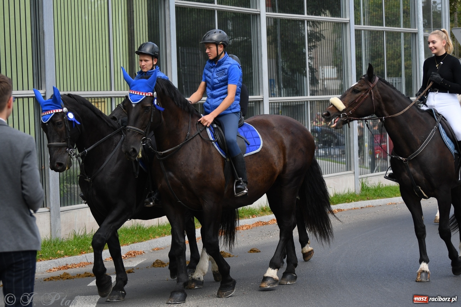 Zdjęcie w galerii na portalu naszraciborz.pl: Raciborski Hubertus 2021. Parada przez Ostróg i dwie gonitwy za lisem [FOTO i WIDEO] wiadomości z regionu