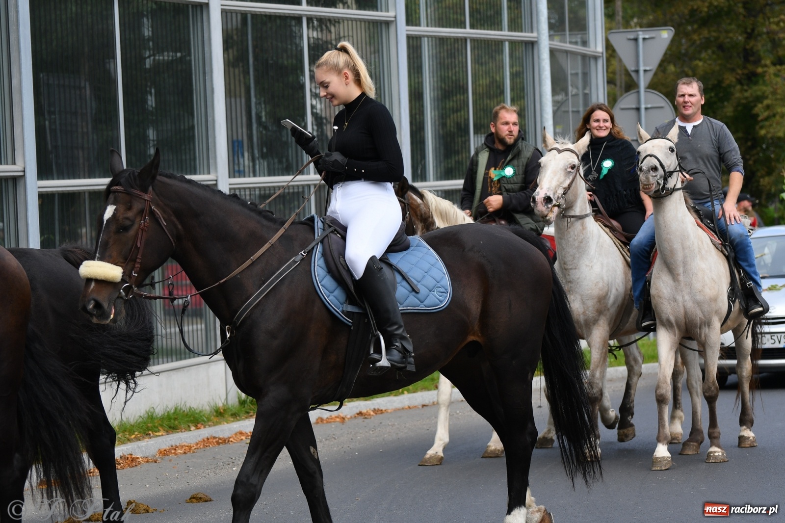 Zdjęcie w galerii na portalu naszraciborz.pl: Raciborski Hubertus 2021. Parada przez Ostróg i dwie gonitwy za lisem [FOTO i WIDEO] wiadomości z regionu