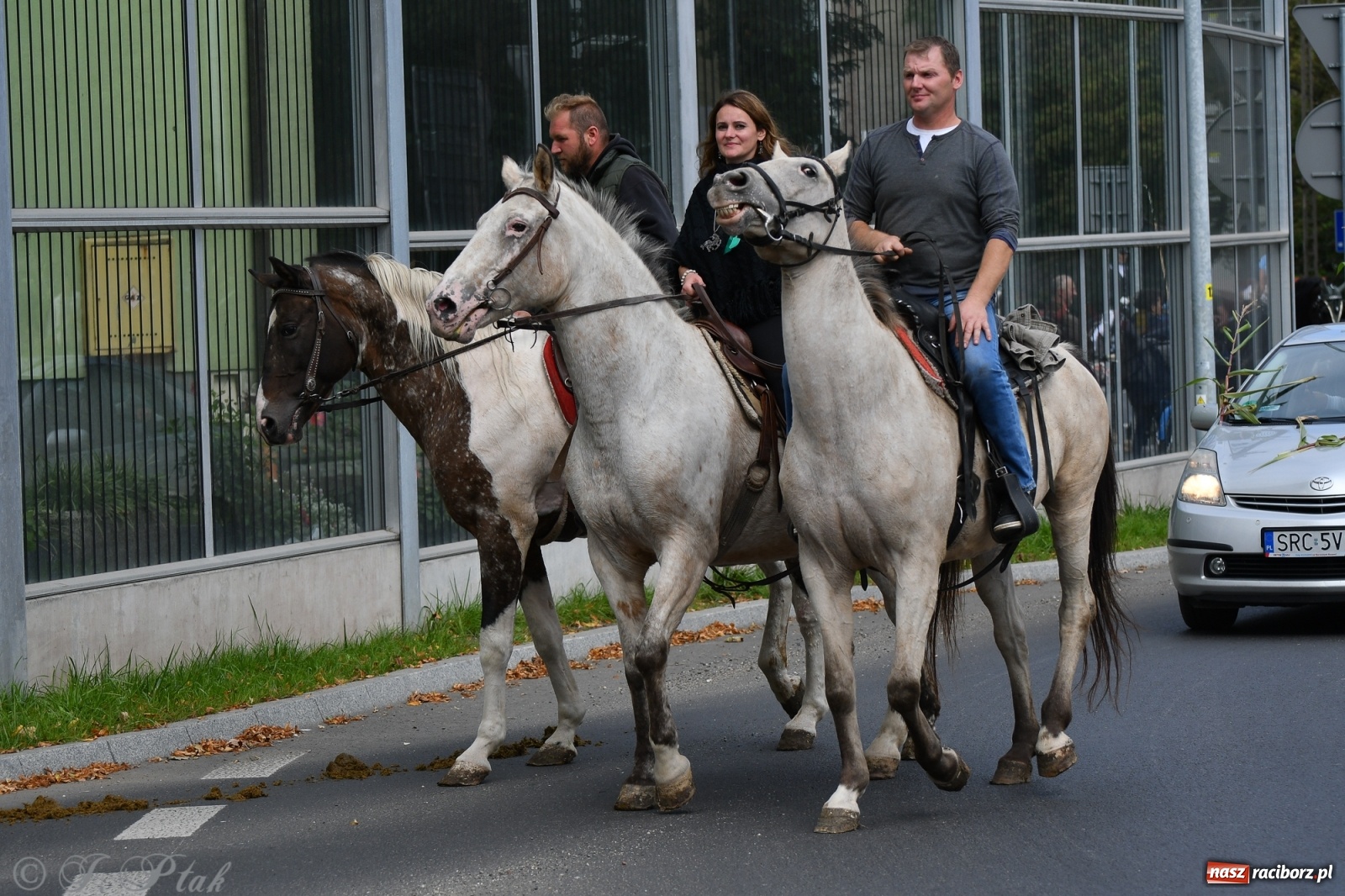 Zdjęcie w galerii na portalu naszraciborz.pl: Raciborski Hubertus 2021. Parada przez Ostróg i dwie gonitwy za lisem [FOTO i WIDEO] wiadomości z regionu