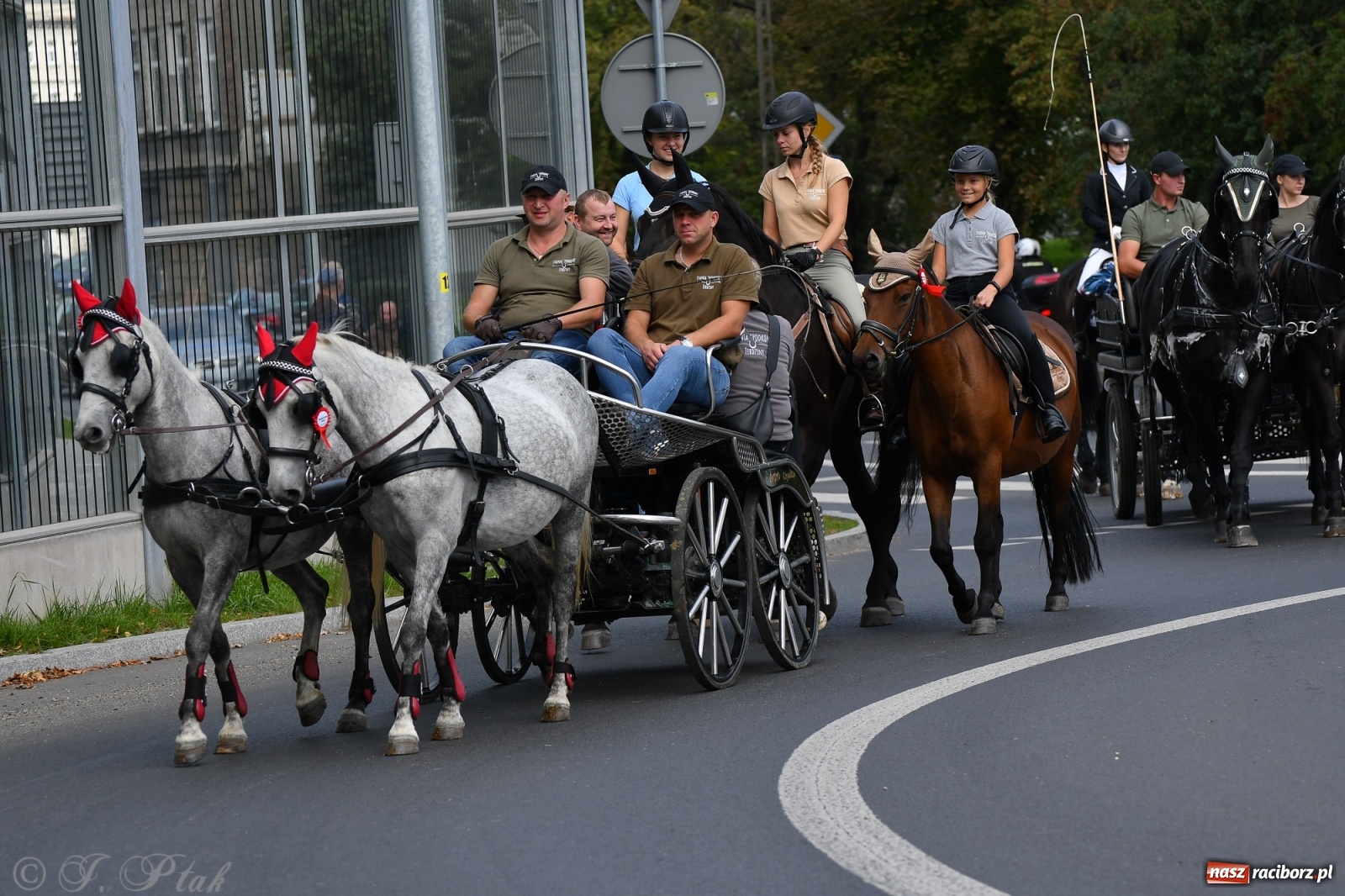 Zdjęcie w galerii na portalu naszraciborz.pl: Raciborski Hubertus 2021. Parada przez Ostróg i dwie gonitwy za lisem [FOTO i WIDEO] wiadomości z regionu