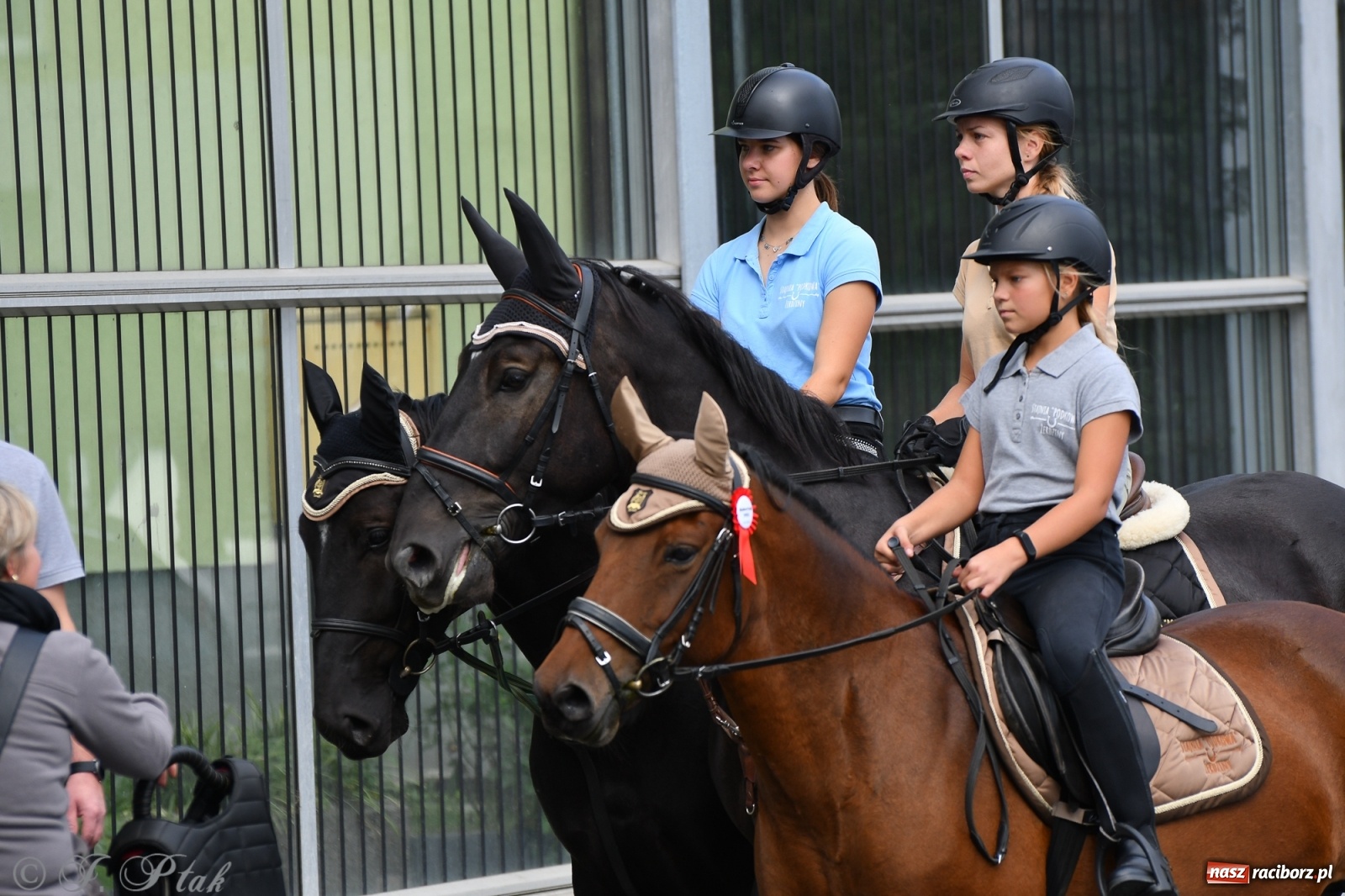 Zdjęcie w galerii na portalu naszraciborz.pl: Raciborski Hubertus 2021. Parada przez Ostróg i dwie gonitwy za lisem [FOTO i WIDEO] wiadomości z regionu