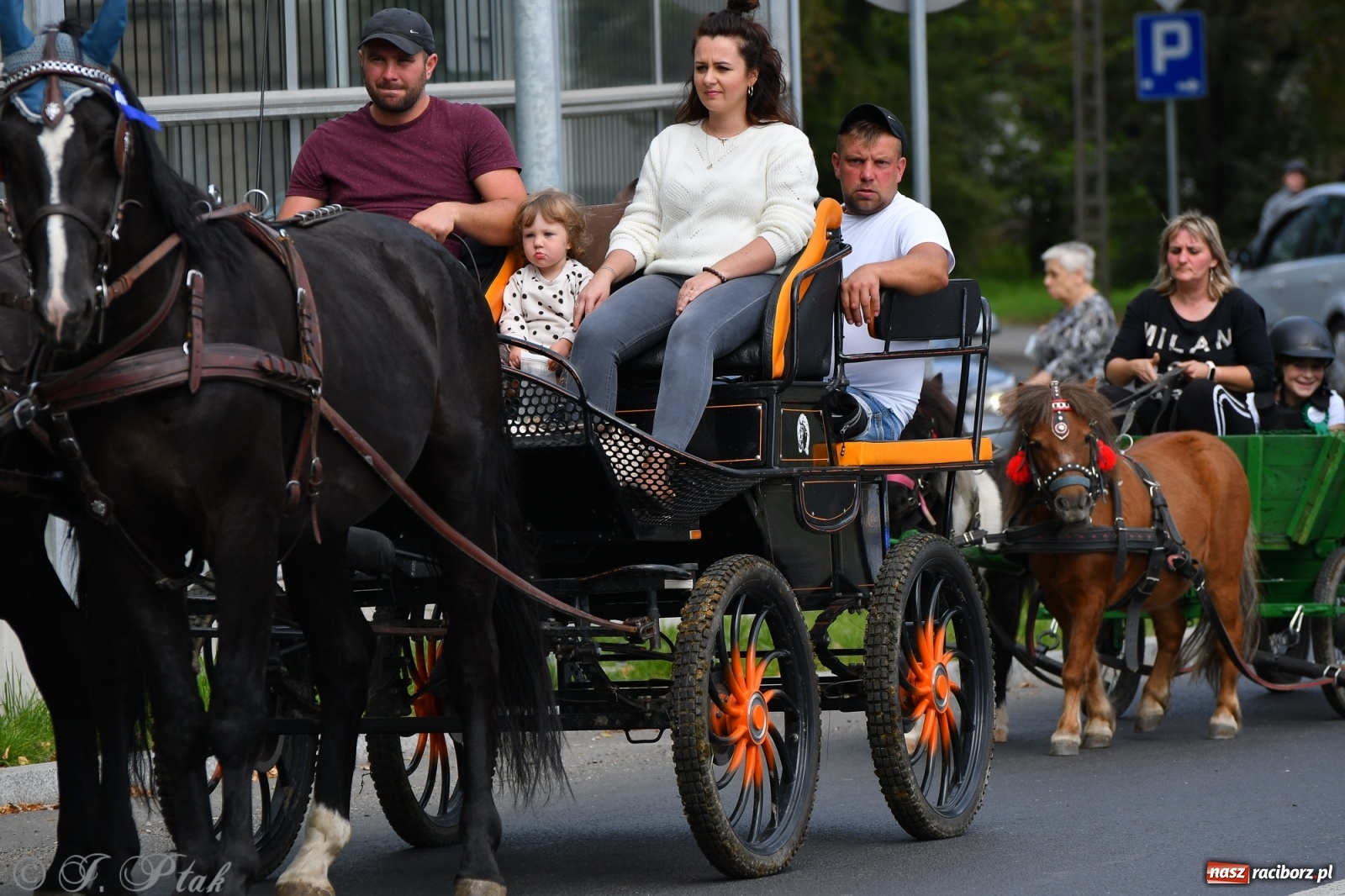 Zdjęcie w galerii na portalu naszraciborz.pl: Raciborski Hubertus 2021. Parada przez Ostróg i dwie gonitwy za lisem [FOTO i WIDEO] wiadomości z regionu