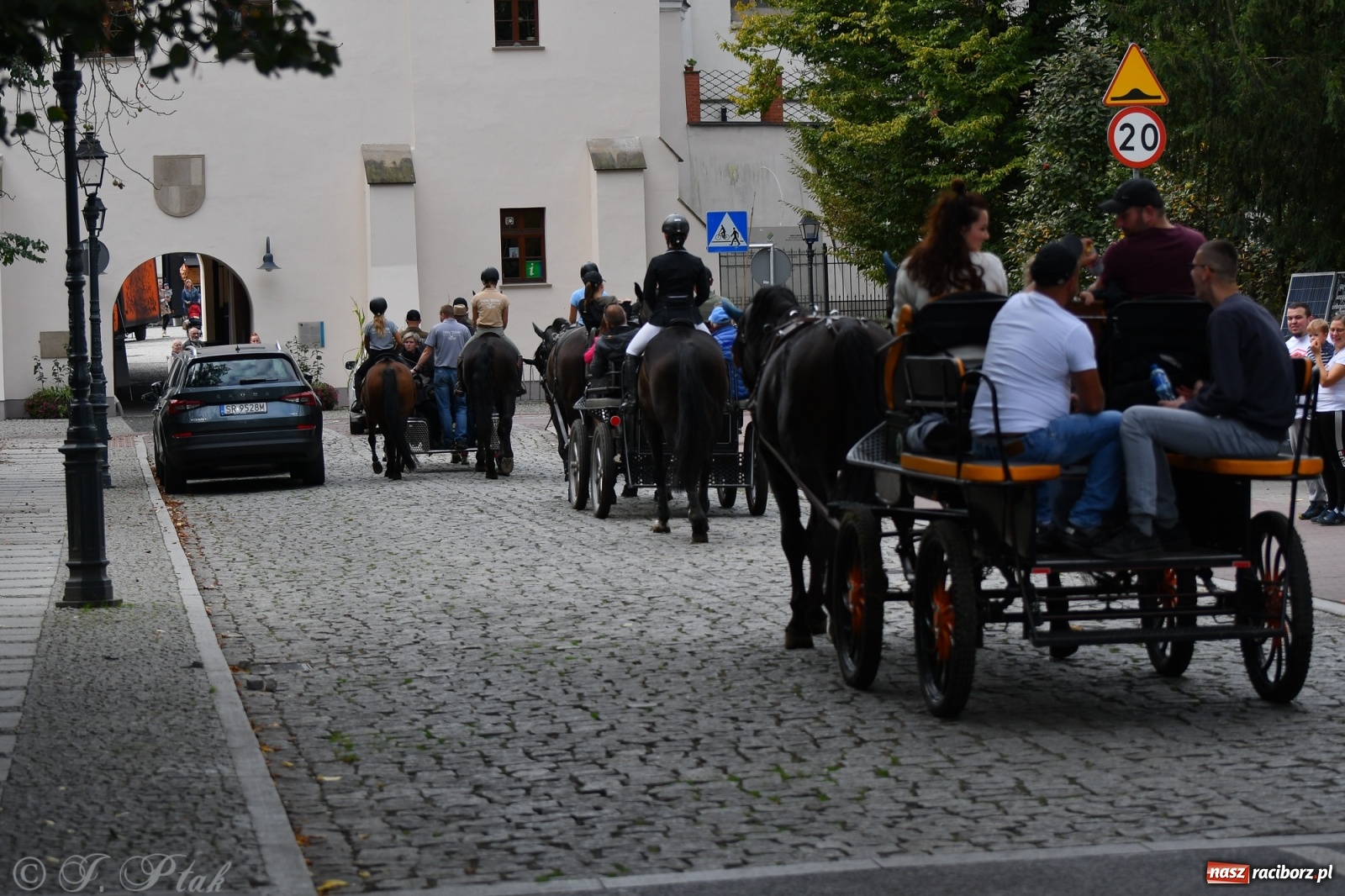 Zdjęcie w galerii na portalu naszraciborz.pl: Raciborski Hubertus 2021. Parada przez Ostróg i dwie gonitwy za lisem [FOTO i WIDEO] wiadomości z regionu
