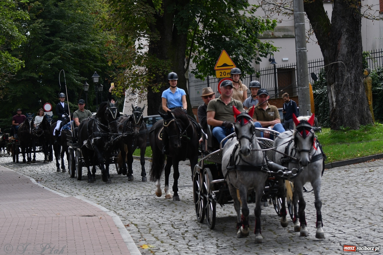 Zdjęcie w galerii na portalu naszraciborz.pl: Raciborski Hubertus 2021. Parada przez Ostróg i dwie gonitwy za lisem [FOTO i WIDEO] wiadomości z regionu