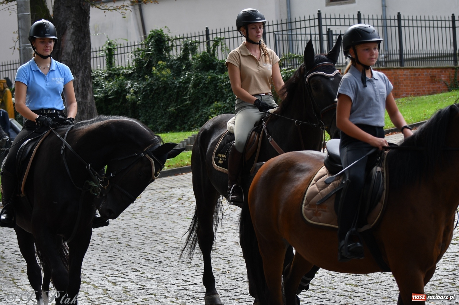 Zdjęcie w galerii na portalu naszraciborz.pl: Raciborski Hubertus 2021. Parada przez Ostróg i dwie gonitwy za lisem [FOTO i WIDEO] wiadomości z regionu