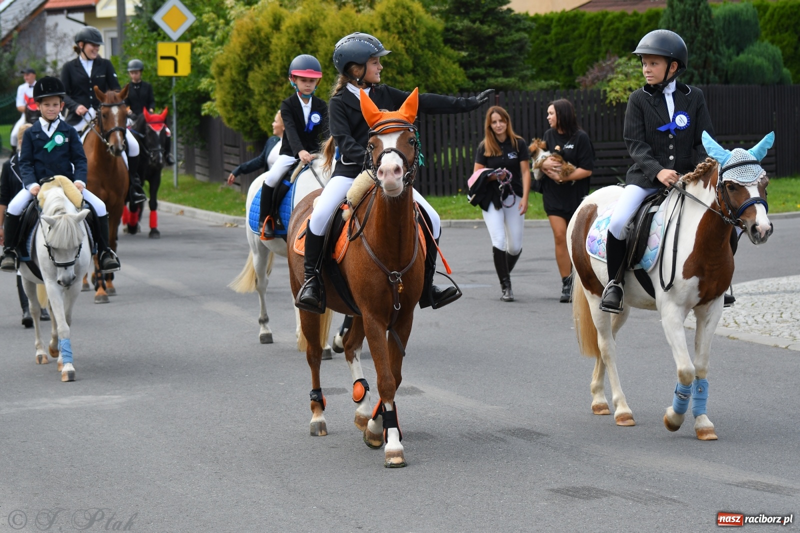 Zdjęcie w galerii na portalu naszraciborz.pl: Raciborski Hubertus 2021. Parada przez Ostróg i dwie gonitwy za lisem [FOTO i WIDEO] wiadomości z regionu