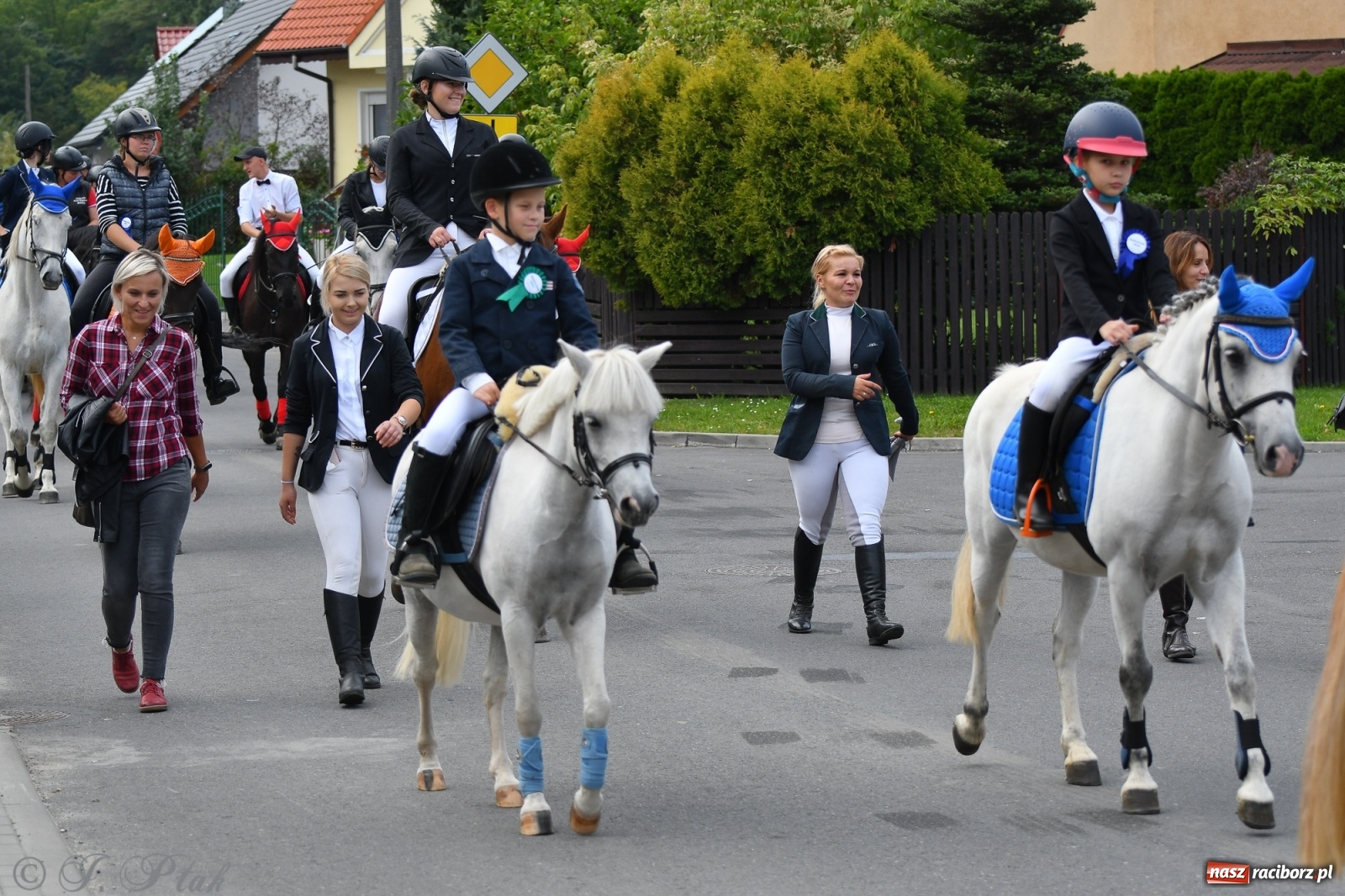 Zdjęcie w galerii na portalu naszraciborz.pl: Raciborski Hubertus 2021. Parada przez Ostróg i dwie gonitwy za lisem [FOTO i WIDEO] wiadomości z regionu