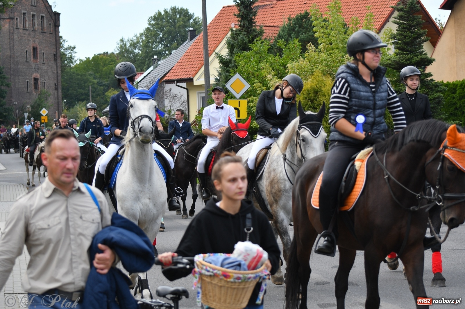 Zdjęcie w galerii na portalu naszraciborz.pl: Raciborski Hubertus 2021. Parada przez Ostróg i dwie gonitwy za lisem [FOTO i WIDEO] wiadomości z regionu