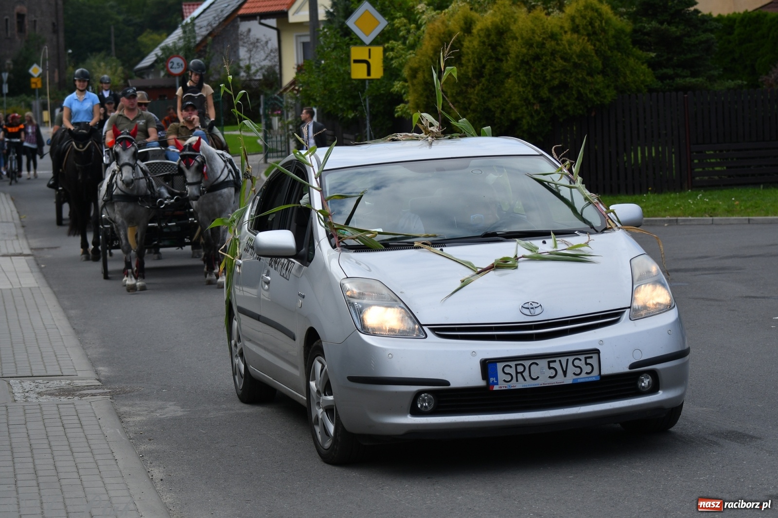 Zdjęcie w galerii na portalu naszraciborz.pl: Raciborski Hubertus 2021. Parada przez Ostróg i dwie gonitwy za lisem [FOTO i WIDEO] wiadomości z regionu