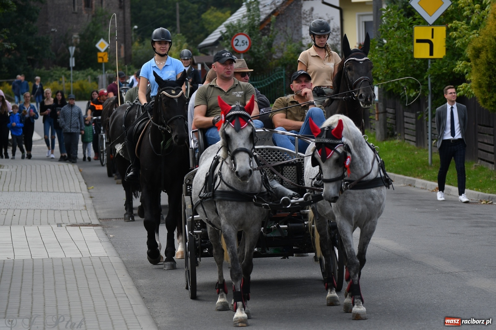 Zdjęcie w galerii na portalu naszraciborz.pl: Raciborski Hubertus 2021. Parada przez Ostróg i dwie gonitwy za lisem [FOTO i WIDEO] wiadomości z regionu