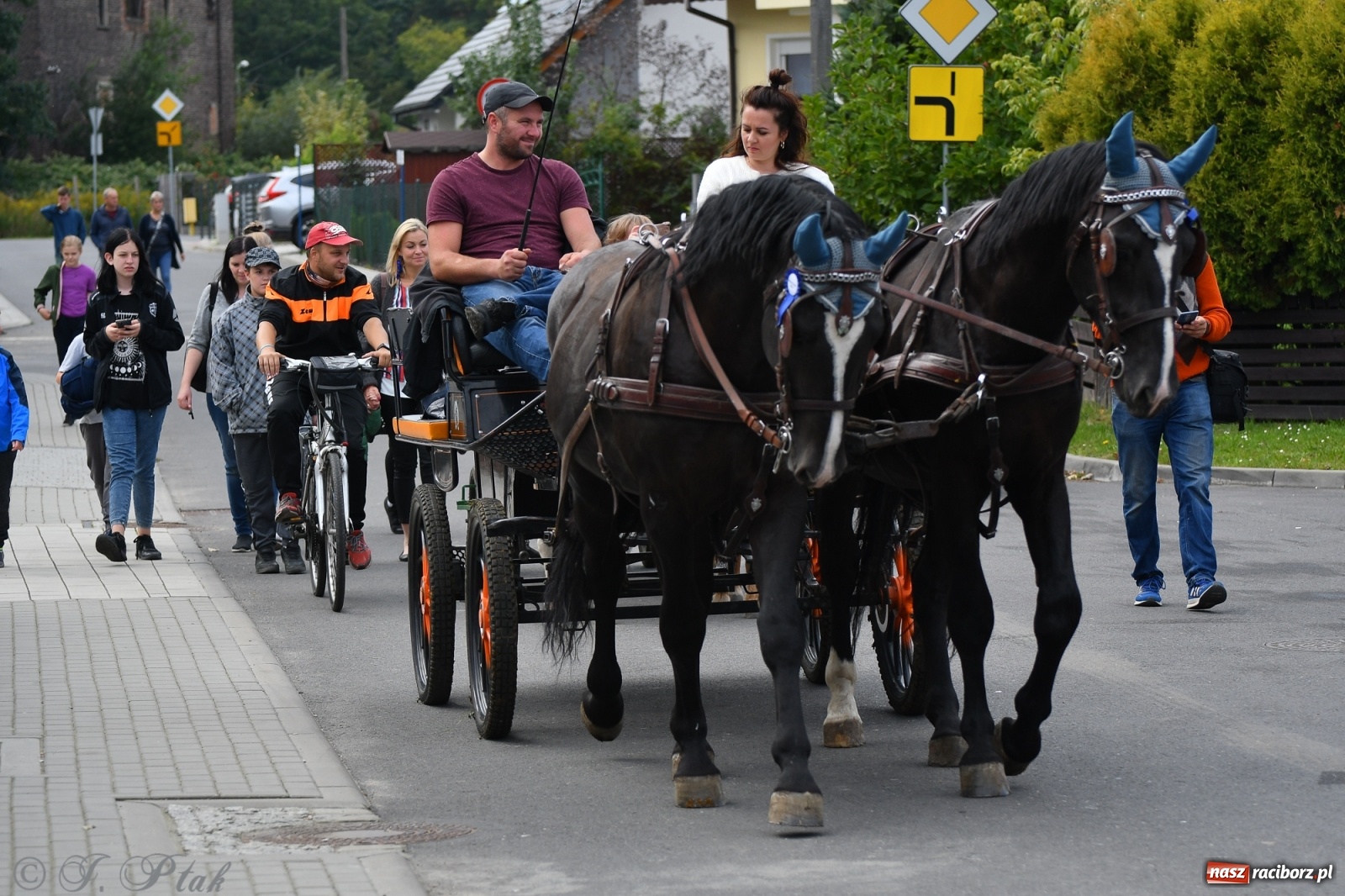 Zdjęcie w galerii na portalu naszraciborz.pl: Raciborski Hubertus 2021. Parada przez Ostróg i dwie gonitwy za lisem [FOTO i WIDEO] wiadomości z regionu