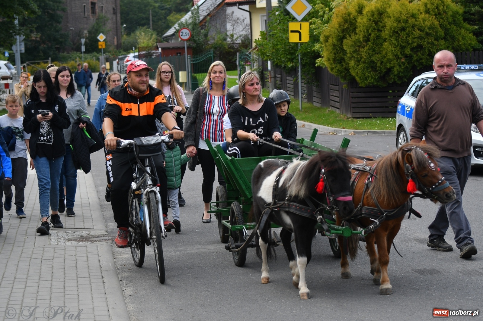 Zdjęcie w galerii na portalu naszraciborz.pl: Raciborski Hubertus 2021. Parada przez Ostróg i dwie gonitwy za lisem [FOTO i WIDEO] wiadomości z regionu