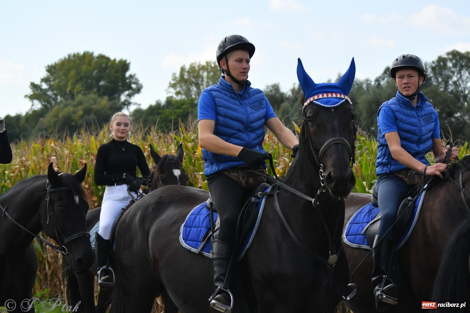 Zdjęcie w galerii na portalu naszraciborz.pl: Raciborski Hubertus 2021. Parada przez Ostróg i dwie gonitwy za lisem [FOTO i WIDEO] wiadomości z regionu