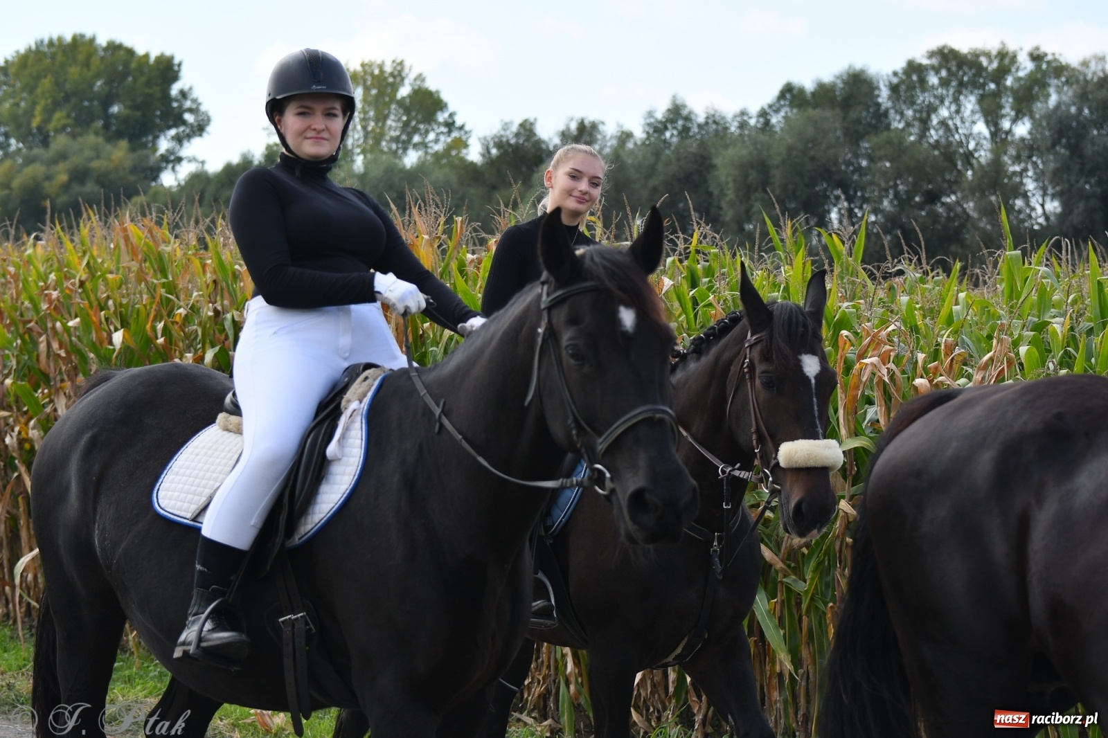 Zdjęcie w galerii na portalu naszraciborz.pl: Raciborski Hubertus 2021. Parada przez Ostróg i dwie gonitwy za lisem [FOTO i WIDEO] wiadomości z regionu