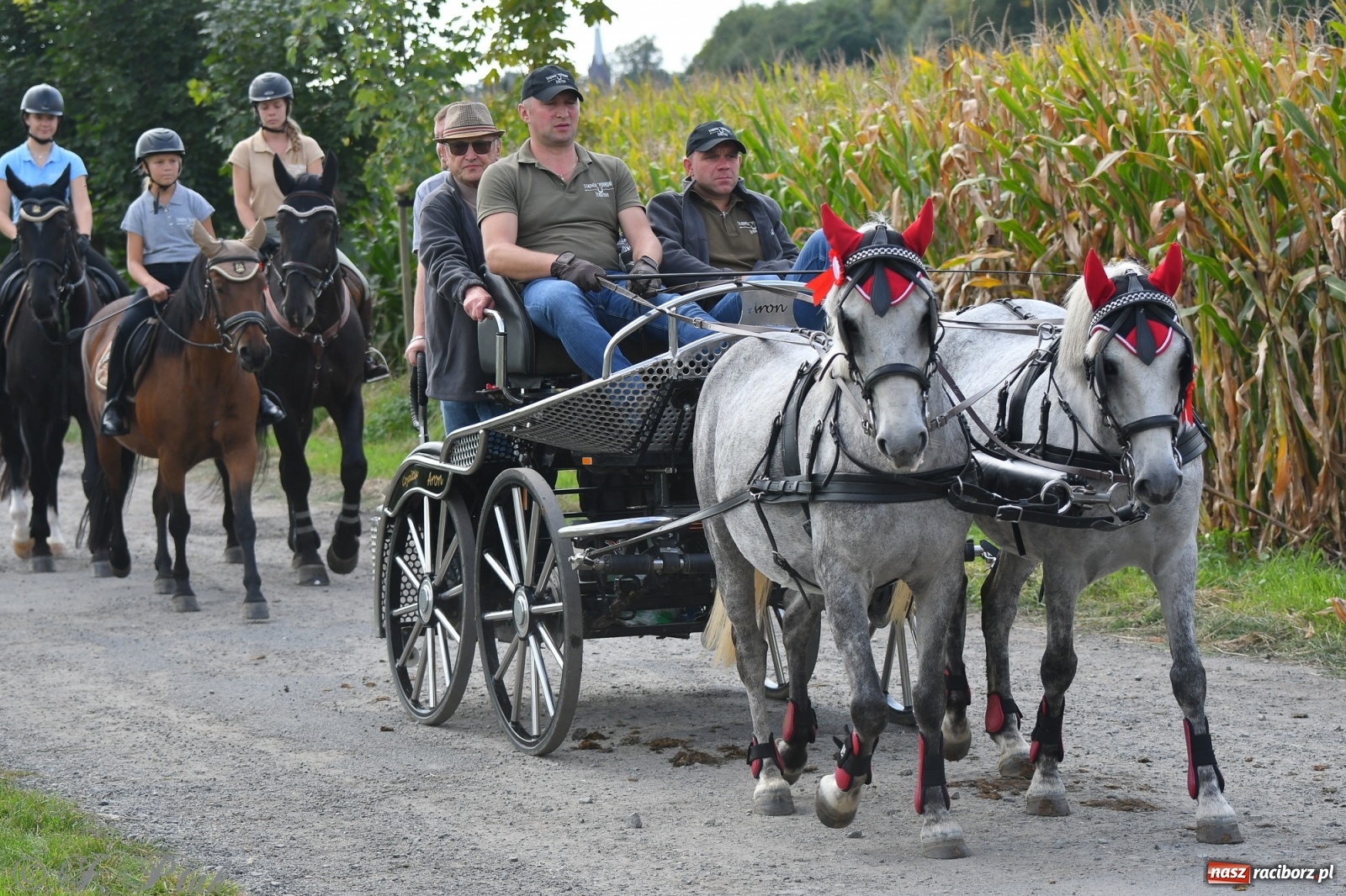 Zdjęcie w galerii na portalu naszraciborz.pl: Raciborski Hubertus 2021. Parada przez Ostróg i dwie gonitwy za lisem [FOTO i WIDEO] wiadomości z regionu
