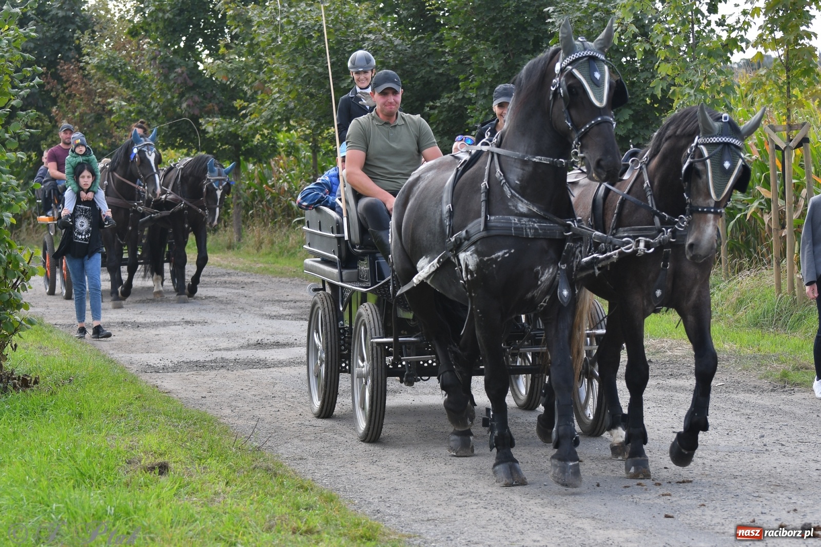 Zdjęcie w galerii na portalu naszraciborz.pl: Raciborski Hubertus 2021. Parada przez Ostróg i dwie gonitwy za lisem [FOTO i WIDEO] wiadomości z regionu