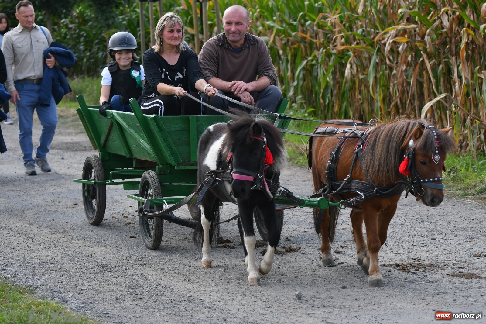 Zdjęcie w galerii na portalu naszraciborz.pl: Raciborski Hubertus 2021. Parada przez Ostróg i dwie gonitwy za lisem [FOTO i WIDEO] wiadomości z regionu
