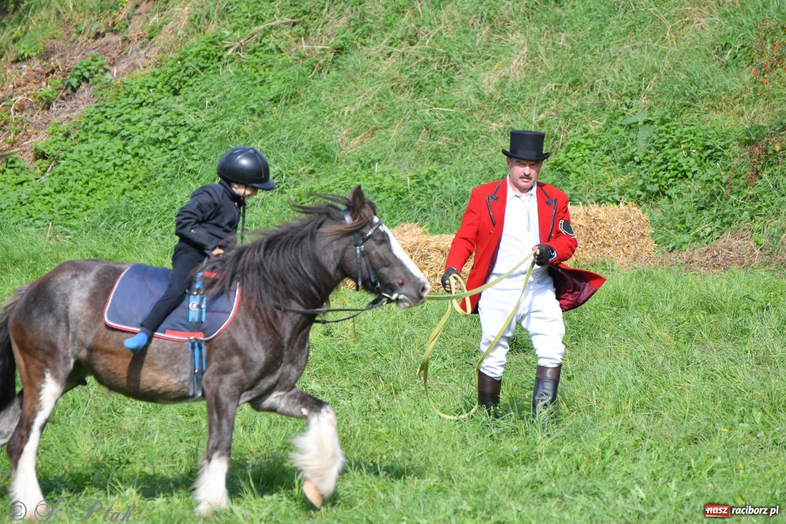 Zdjęcie w galerii na portalu naszraciborz.pl: Raciborski Hubertus 2021. Parada przez Ostróg i dwie gonitwy za lisem [FOTO i WIDEO] wiadomości z regionu