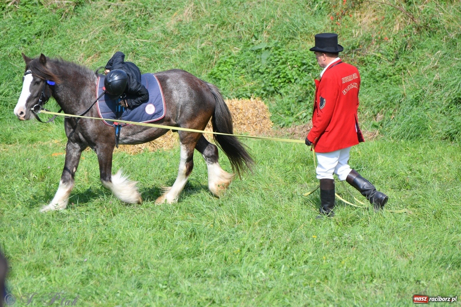 Zdjęcie w galerii na portalu naszraciborz.pl: Raciborski Hubertus 2021. Parada przez Ostróg i dwie gonitwy za lisem [FOTO i WIDEO] wiadomości z regionu