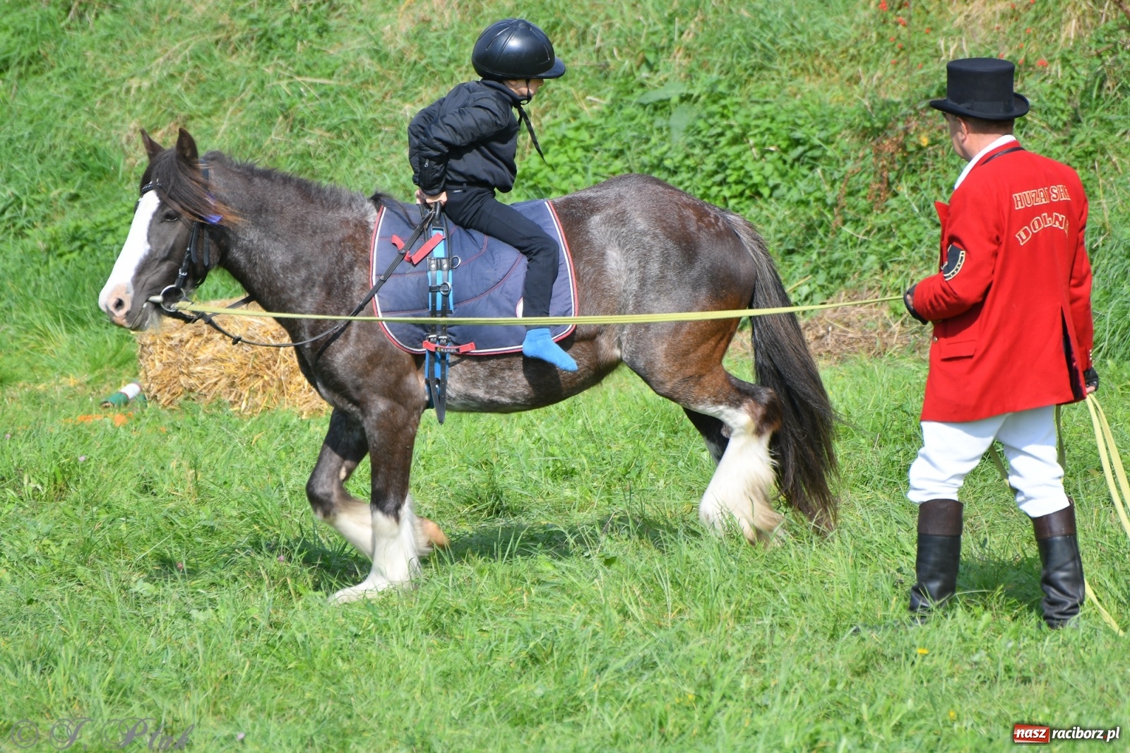 Zdjęcie w galerii na portalu naszraciborz.pl: Raciborski Hubertus 2021. Parada przez Ostróg i dwie gonitwy za lisem [FOTO i WIDEO] wiadomości z regionu