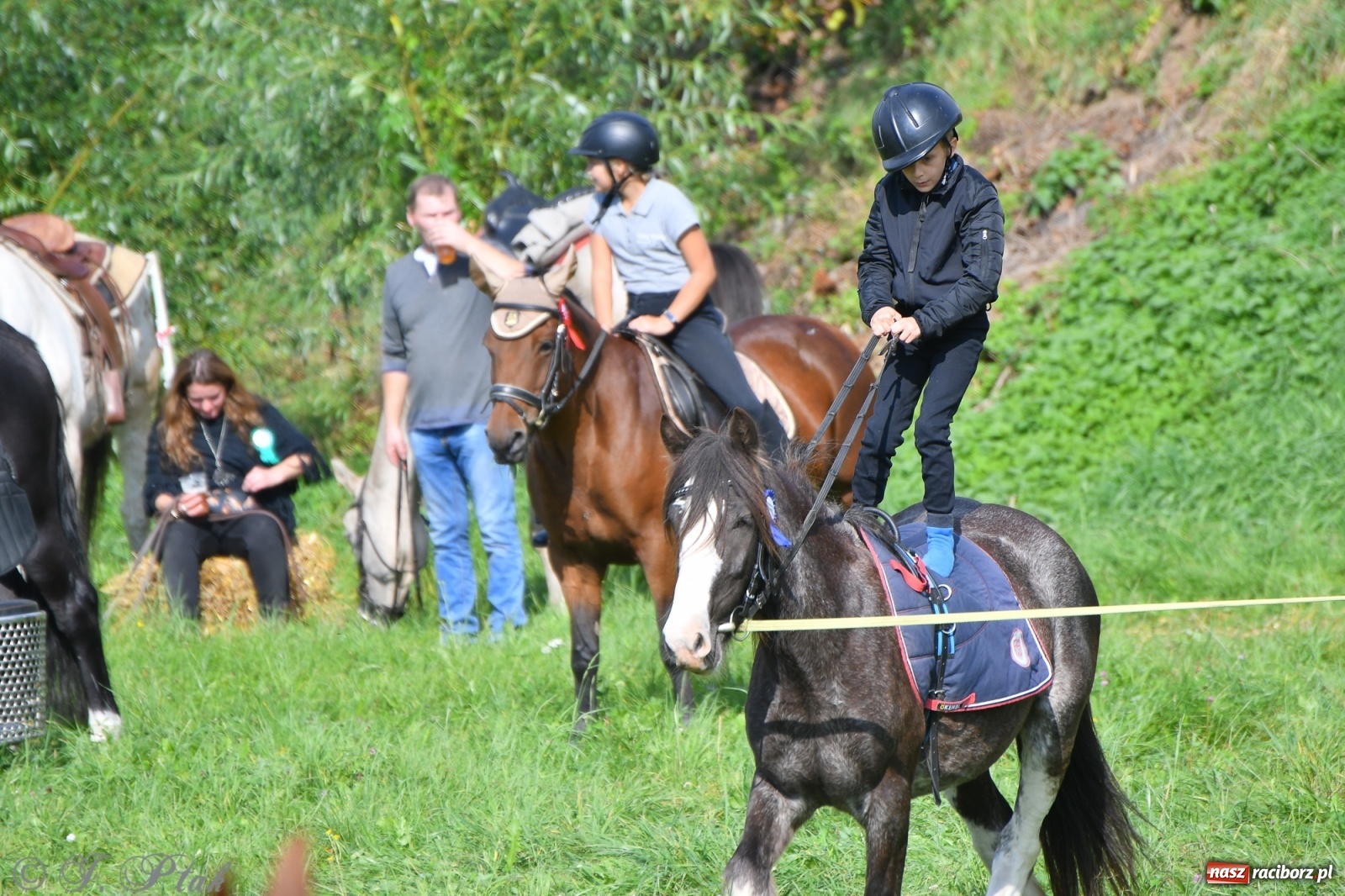 Zdjęcie w galerii na portalu naszraciborz.pl: Raciborski Hubertus 2021. Parada przez Ostróg i dwie gonitwy za lisem [FOTO i WIDEO] wiadomości z regionu
