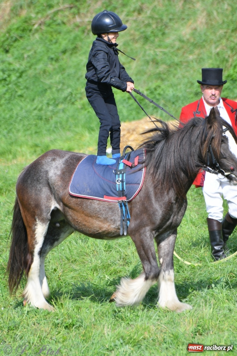 Zdjęcie w galerii na portalu naszraciborz.pl: Raciborski Hubertus 2021. Parada przez Ostróg i dwie gonitwy za lisem [FOTO i WIDEO] wiadomości z regionu