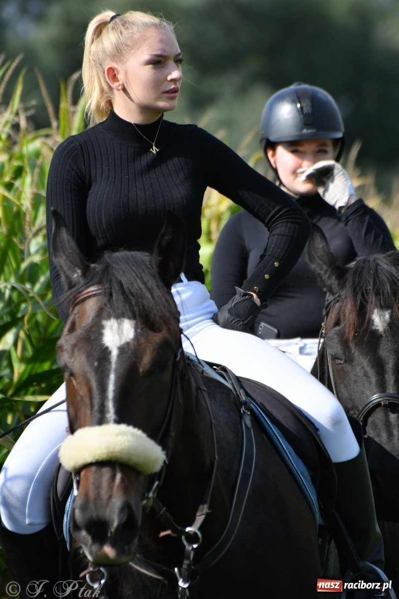 Zdjęcie w galerii na portalu naszraciborz.pl: Raciborski Hubertus 2021. Parada przez Ostróg i dwie gonitwy za lisem [FOTO i WIDEO] wiadomości z regionu