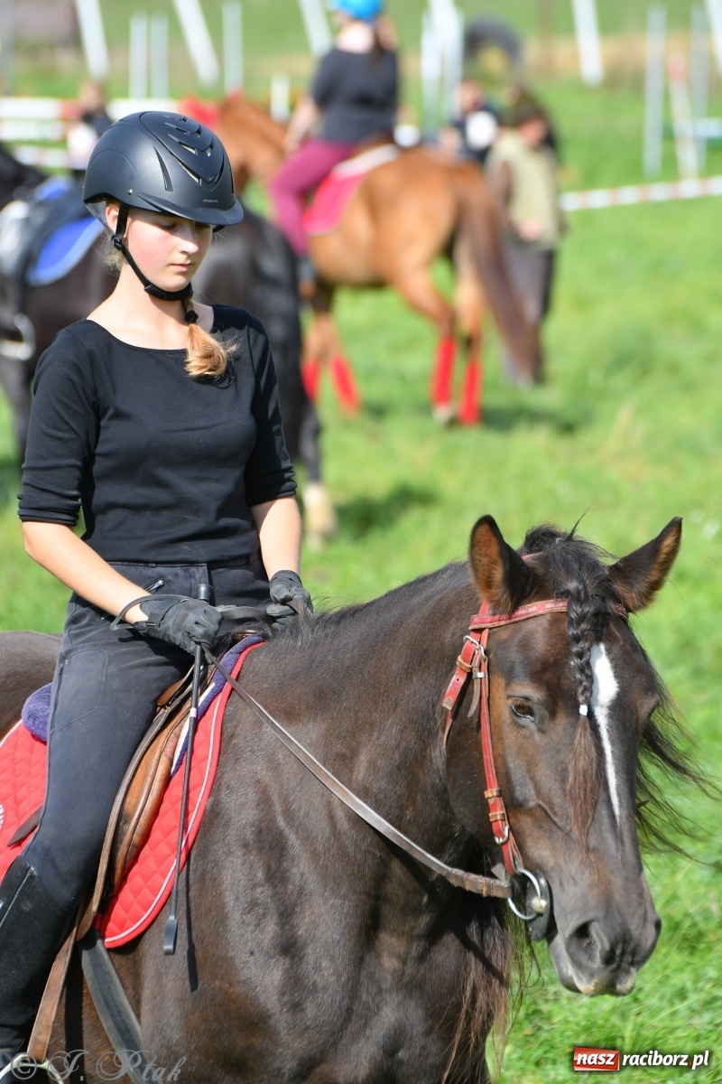 Zdjęcie w galerii na portalu naszraciborz.pl: Raciborski Hubertus 2021. Parada przez Ostróg i dwie gonitwy za lisem [FOTO i WIDEO] wiadomości z regionu