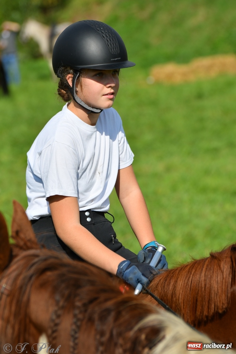 Zdjęcie w galerii na portalu naszraciborz.pl: Raciborski Hubertus 2021. Parada przez Ostróg i dwie gonitwy za lisem [FOTO i WIDEO] wiadomości z regionu
