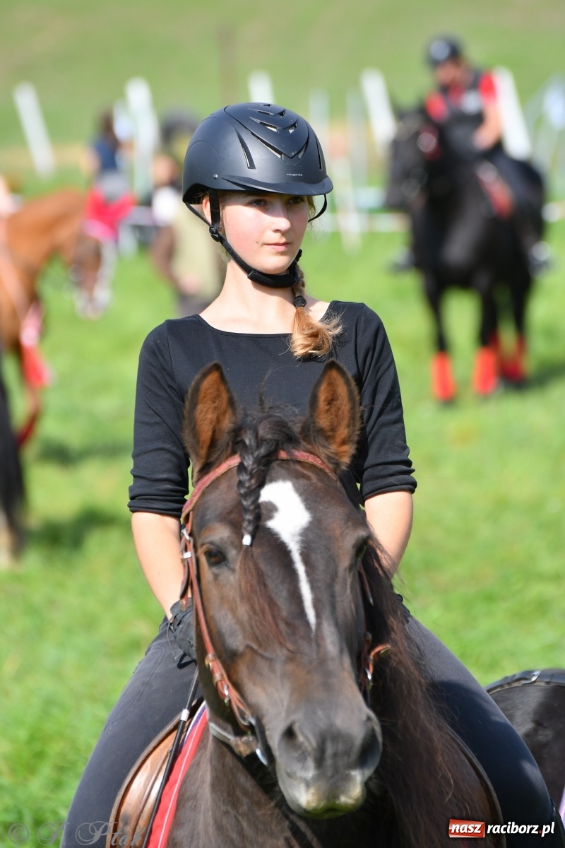 Zdjęcie w galerii na portalu naszraciborz.pl: Raciborski Hubertus 2021. Parada przez Ostróg i dwie gonitwy za lisem [FOTO i WIDEO] wiadomości z regionu