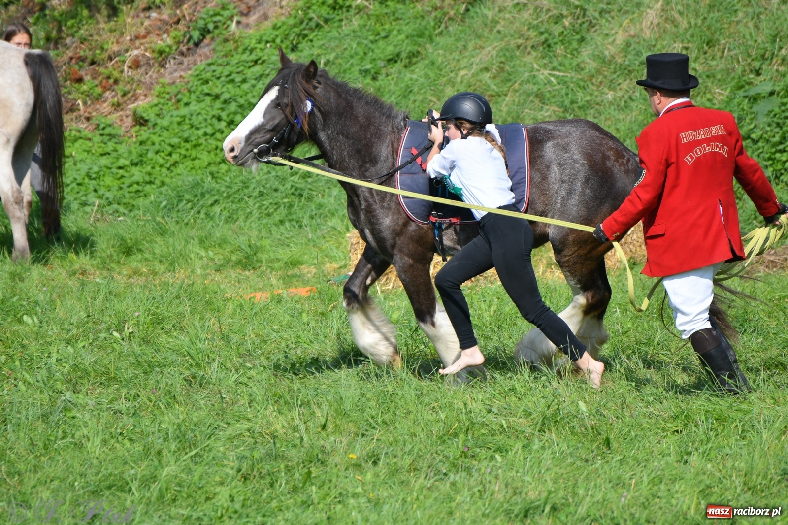 Zdjęcie w galerii na portalu naszraciborz.pl: Raciborski Hubertus 2021. Parada przez Ostróg i dwie gonitwy za lisem [FOTO i WIDEO] wiadomości z regionu
