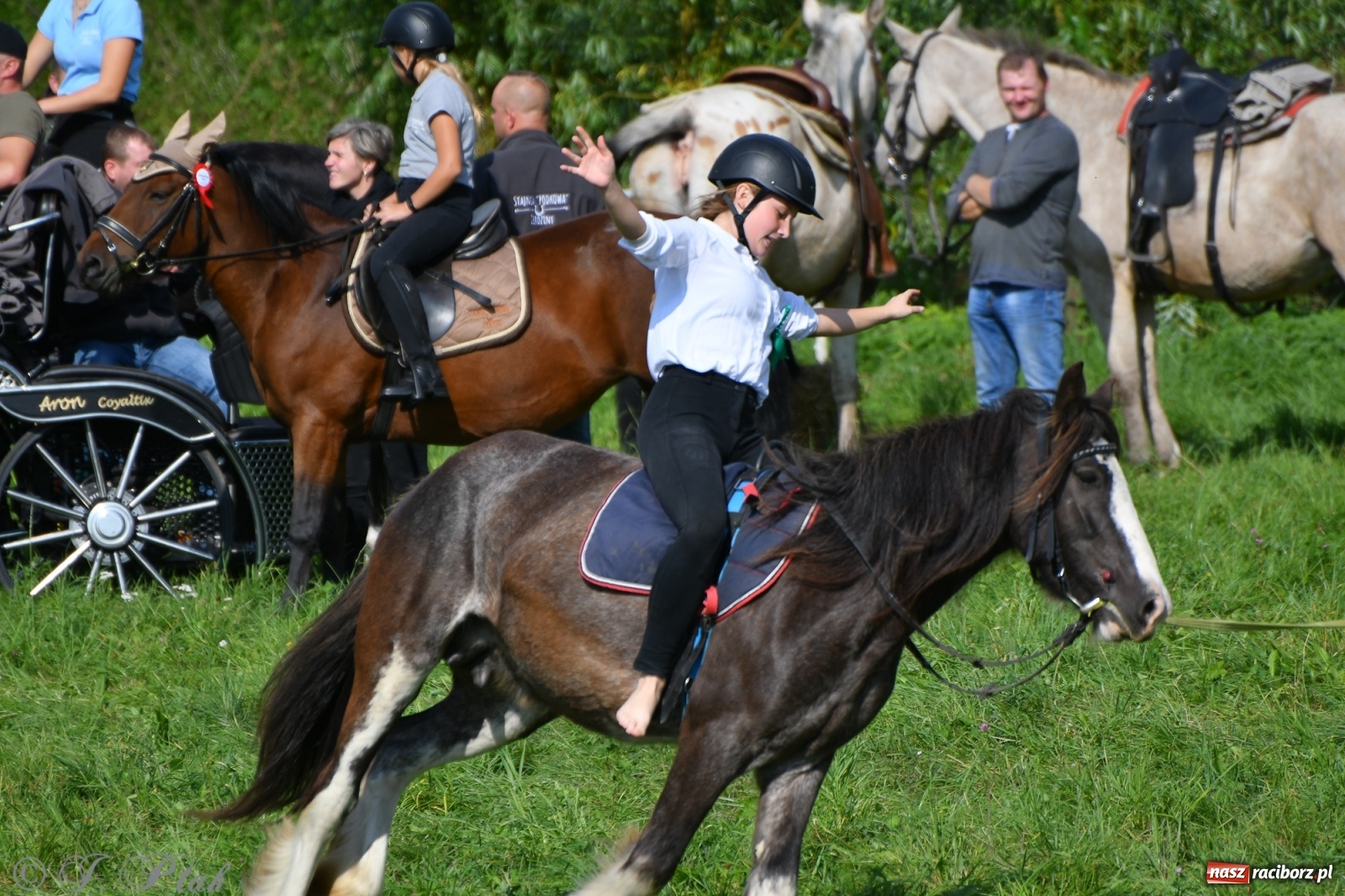 Zdjęcie w galerii na portalu naszraciborz.pl: Raciborski Hubertus 2021. Parada przez Ostróg i dwie gonitwy za lisem [FOTO i WIDEO] wiadomości z regionu
