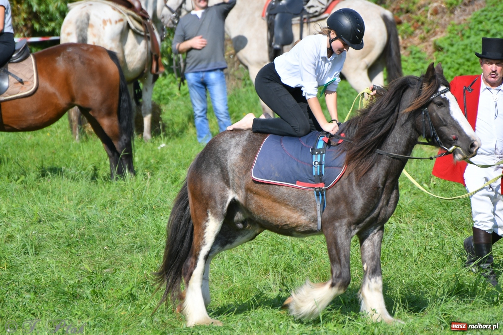 Zdjęcie w galerii na portalu naszraciborz.pl: Raciborski Hubertus 2021. Parada przez Ostróg i dwie gonitwy za lisem [FOTO i WIDEO] wiadomości z regionu