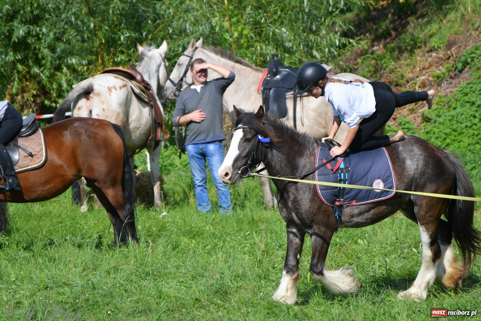 Zdjęcie w galerii na portalu naszraciborz.pl: Raciborski Hubertus 2021. Parada przez Ostróg i dwie gonitwy za lisem [FOTO i WIDEO] wiadomości z regionu