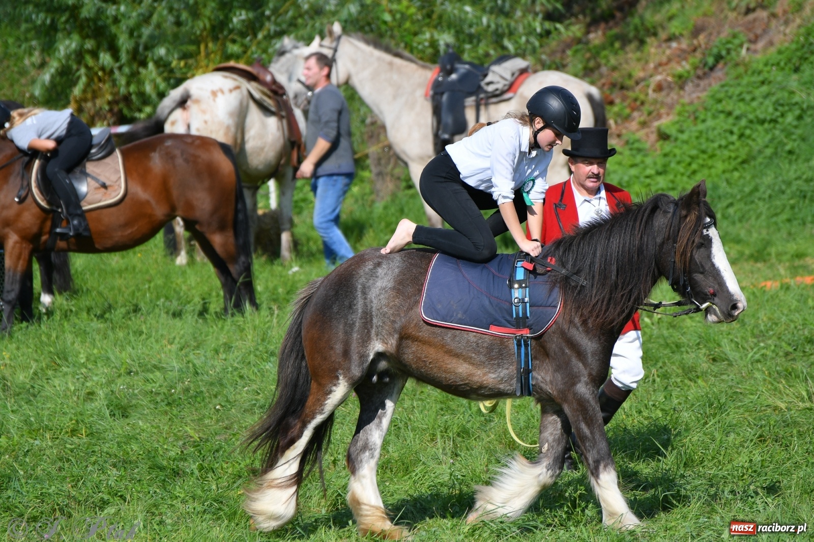 Zdjęcie w galerii na portalu naszraciborz.pl: Raciborski Hubertus 2021. Parada przez Ostróg i dwie gonitwy za lisem [FOTO i WIDEO] wiadomości z regionu