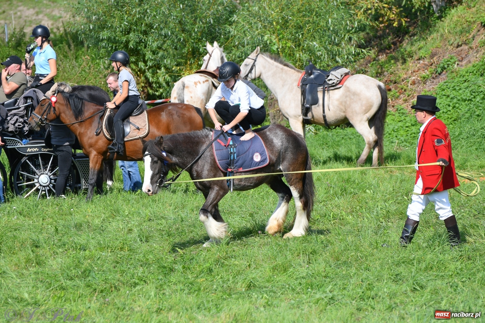 Zdjęcie w galerii na portalu naszraciborz.pl: Raciborski Hubertus 2021. Parada przez Ostróg i dwie gonitwy za lisem [FOTO i WIDEO] wiadomości z regionu
