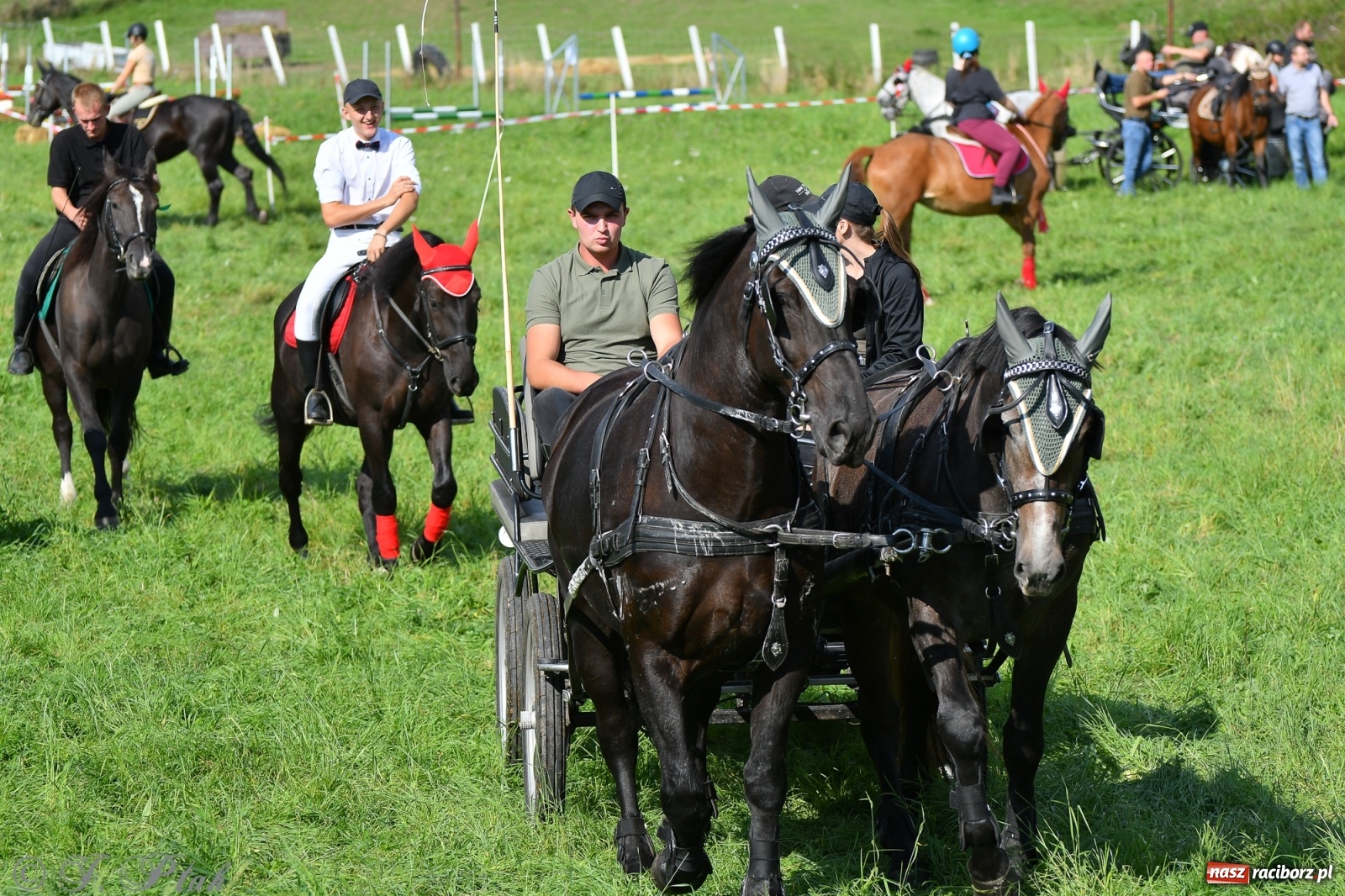 Zdjęcie w galerii na portalu naszraciborz.pl: Raciborski Hubertus 2021. Parada przez Ostróg i dwie gonitwy za lisem [FOTO i WIDEO] wiadomości z regionu