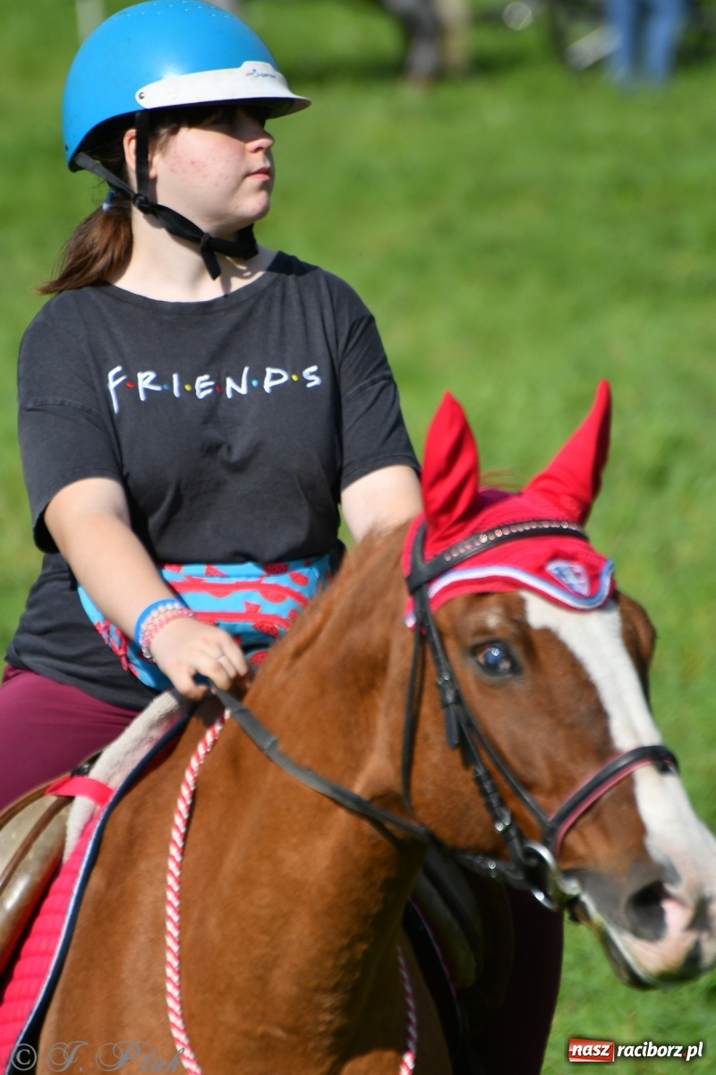 Zdjęcie w galerii na portalu naszraciborz.pl: Raciborski Hubertus 2021. Parada przez Ostróg i dwie gonitwy za lisem [FOTO i WIDEO] wiadomości z regionu
