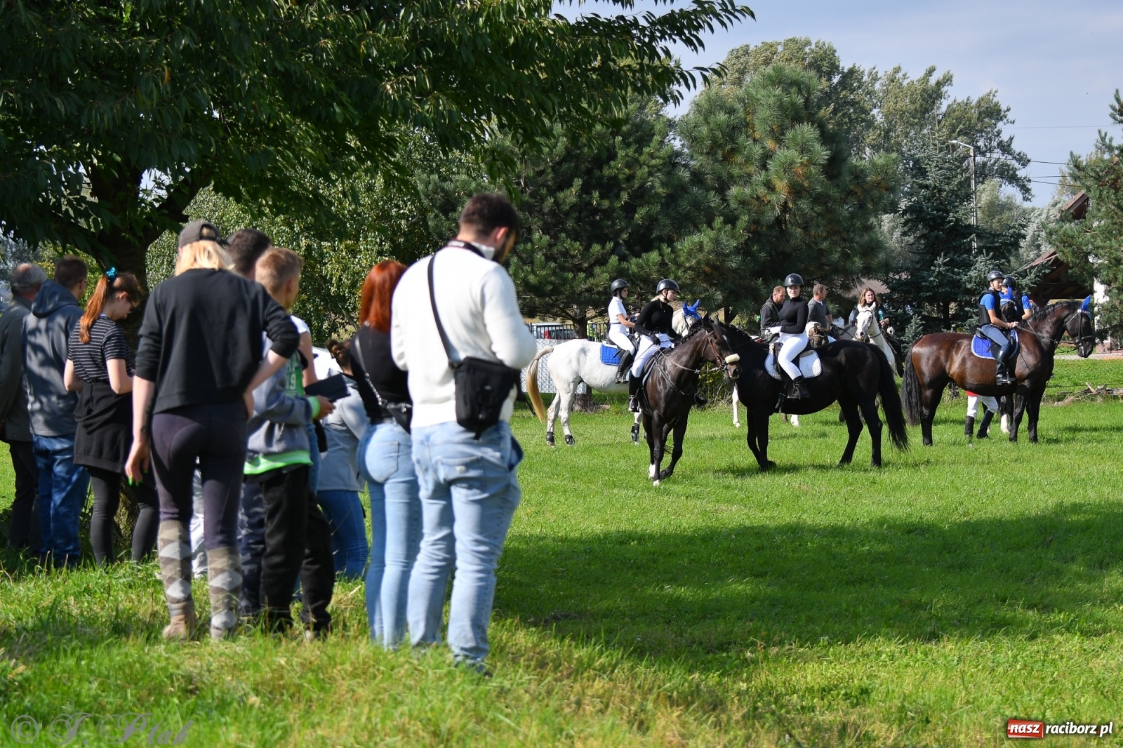 Zdjęcie w galerii na portalu naszraciborz.pl: Raciborski Hubertus 2021. Parada przez Ostróg i dwie gonitwy za lisem [FOTO i WIDEO] wiadomości z regionu