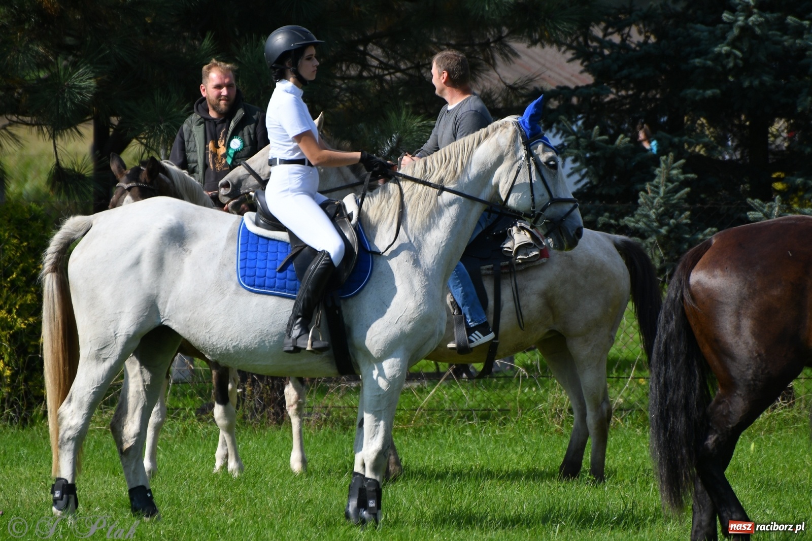 Zdjęcie w galerii na portalu naszraciborz.pl: Raciborski Hubertus 2021. Parada przez Ostróg i dwie gonitwy za lisem [FOTO i WIDEO] wiadomości z regionu