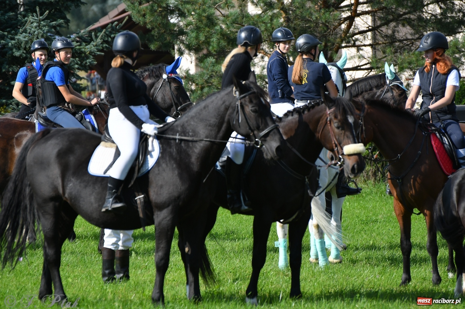 Zdjęcie w galerii na portalu naszraciborz.pl: Raciborski Hubertus 2021. Parada przez Ostróg i dwie gonitwy za lisem [FOTO i WIDEO] wiadomości z regionu