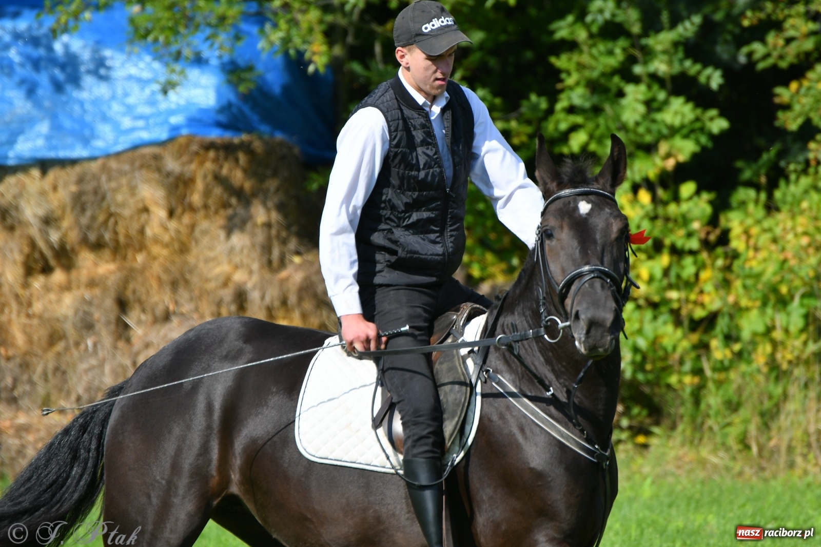 Zdjęcie w galerii na portalu naszraciborz.pl: Raciborski Hubertus 2021. Parada przez Ostróg i dwie gonitwy za lisem [FOTO i WIDEO] wiadomości z regionu
